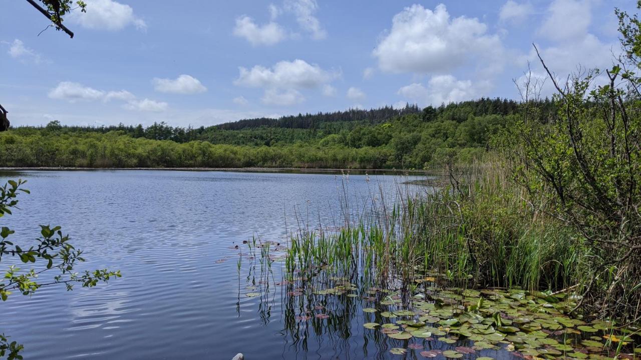 No7 Glan Nodwydd Villa Pentraeth Eksteriør bilde